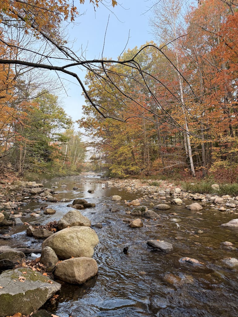 Peaceful river flowing through vibrant autumn foliage in New Hampshire. Perfect for nature and travel themes.