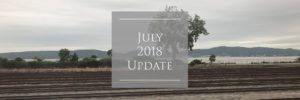 Read more about the article July 2018 Update