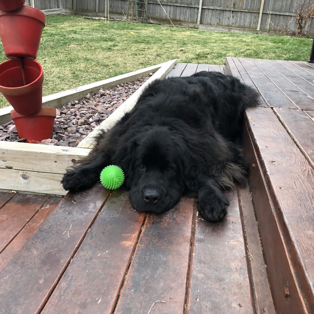 Abby Chilling