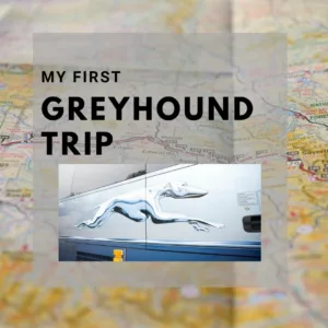 Read more about the article My first Greyhound trip From Milwaukee to Chicago